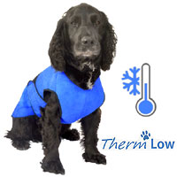 gilet de refroidissement chien