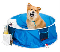 pataugeoire pour chien et bain en plein air