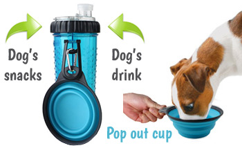 bouteille d'eau pour chien avec compartiment à collations