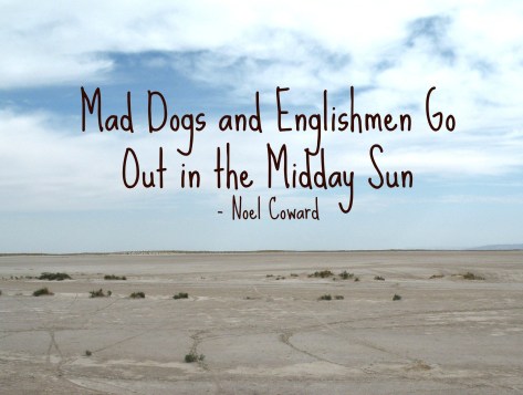 MadDogs "width =" 473 "height =" 357 "srcset =" https://i0.wp.com/runthegreatwidesomewhere.com/wp-content/uploads/2015/06/MadDogs.jpg?resize=300%2C225 300w, https://i0.wp.com/runthegreatwidesomewhere.com/wp-content/uploads/2015/06/MadDogs.jpg?zoom=2&resize=473%2C357 946w, https://i0.wp.com/runthegreatwidesomewhere.com /wp-content/uploads/2015/06/MadDogs.jpg?zoom=3&resize=473%2C357 1419w "values ​​=" (largeur maximale: 473 pixels), 100vw, 473 pixels "data-recalc-dims =" 1 "/> Yeah , ce n’est pas moi, j’habite en Floride, où l’été dure de mars à octobre… Et c’est impitoyable. Vermont: et même si les étés de Floride ont des aspects positifs comme la plage, les sources et la piscine (remarquez le thème aquatique?), Il n’ya absolument rien de bien à s’entraîner pour les courses pendant l’été pour ce coureur.</p>
<p>Parce que je n’ai pas les moyens de passer l’été dans le nord-ouest du Pacifique, j’ai trouvé quelques moyens de s’adapter aux huit mois de misère. Voici mes meilleurs conseils floridiens:</p>
<ul>
<li>Acceptez le fait que vous soyez plus lent. Galloway a un tableau montrant divers ajustements pour la chaleur. Il suggère de ralentir de 30 secondes au kilomètre pour tous les 5 degrés au-dessus de 60 degrés F. Je ne suis pas sûr d’être totalement à bord avec un ralentissement beaucoup plus lent (de 2 à 3 minutes par kilomètre plus lent pour presque toutes les courses estivales ici) mais le concept est valide. Je suis toujours frustré par ma vitesse au début de l’été et étonné par la facilité avec laquelle il est facile de courir plus vite lors de la première course d’octobre (ou de novembre, soupir).</li>
<li>Habillez-vous pour la météo. Pour moi, cela signifie des réservoirs amples (dans une couleur claire!) Et des jupes brillantes. Je porte rarement des chaussettes de compression en été et je porte toujours un Bondiband pour absorber la grande quantité de sueur qui coule sur mon front. Pouah.  <img decoding=