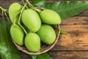mangue crue