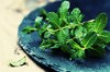 menthe