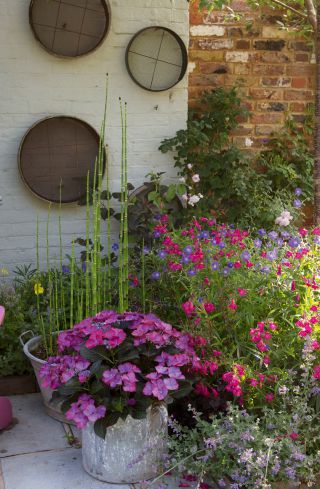 jardin de conteneur