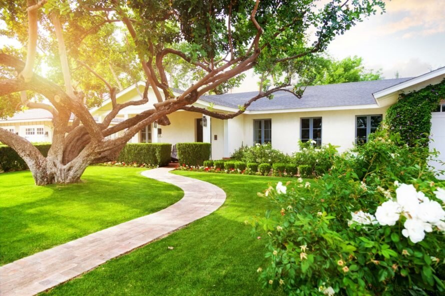 maison blanche avec grand arbre et plusieurs buissons dans la cour