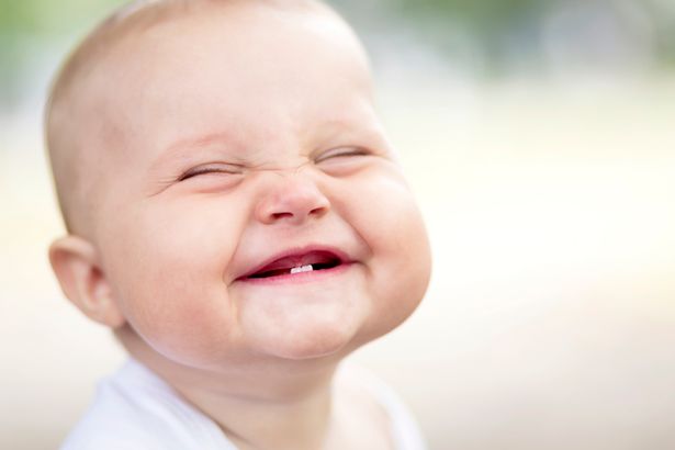 Bébé