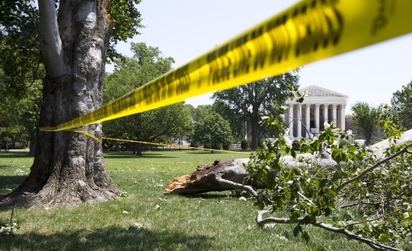 Derecho DC 2012