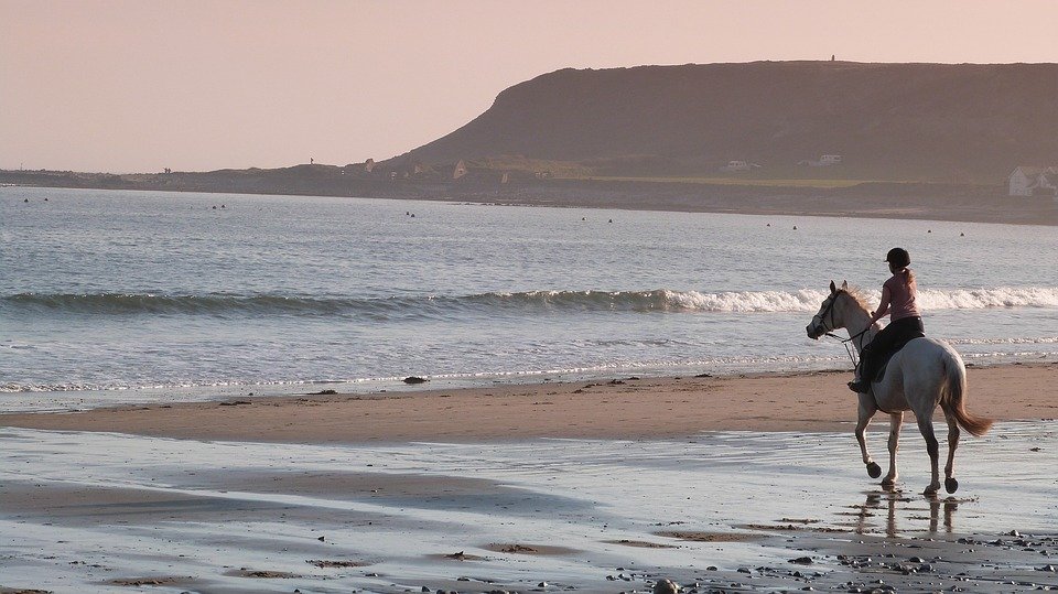 équitation plage