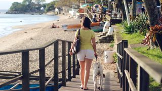 Marcher par temps chaud: femme marchant avec son chien près de la plage en été
