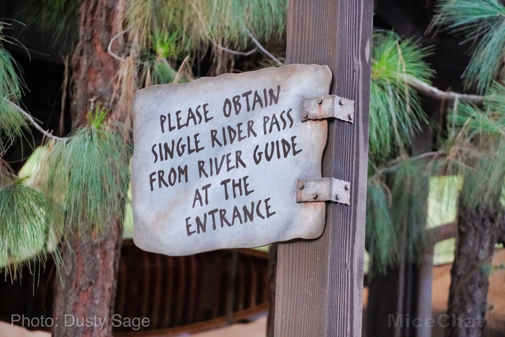 , Mise à jour de Disneyland - Certaines choses chaudes et d'autres non