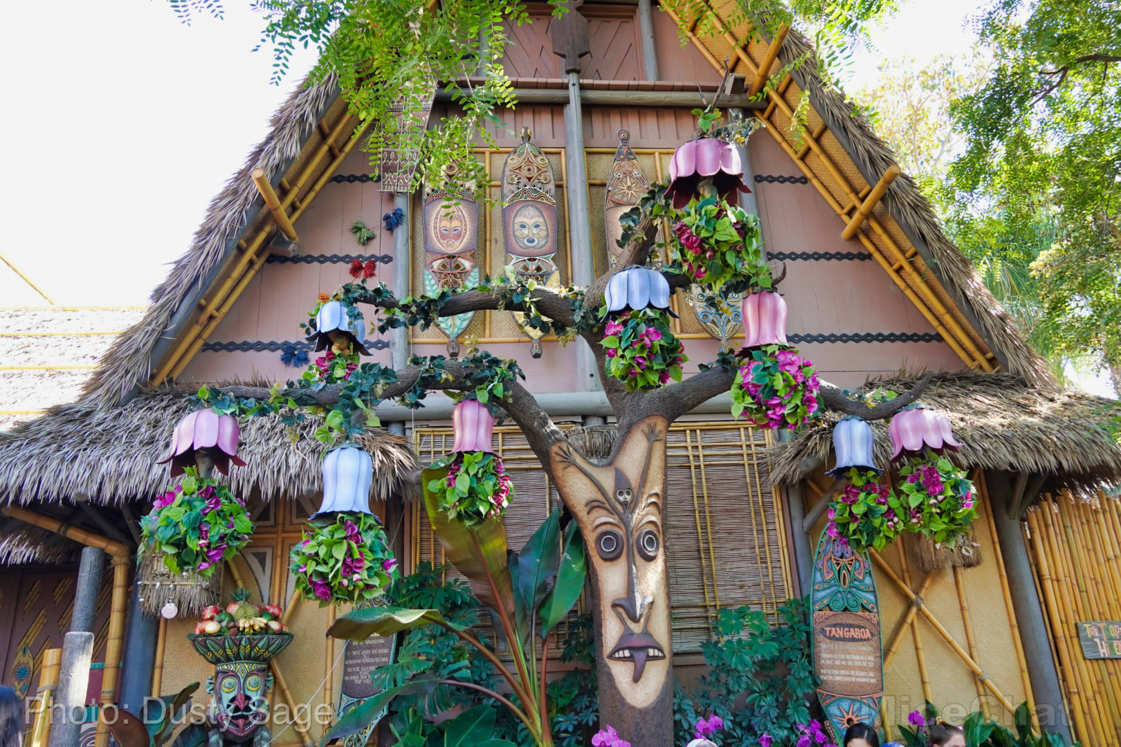 , Mise à jour de Disneyland - Certaines choses chaudes et d'autres non
