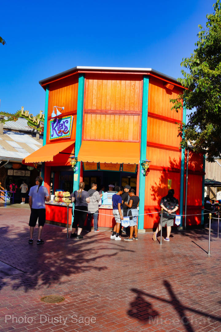 , Mise à jour de Disneyland - Certaines choses chaudes et d'autres non