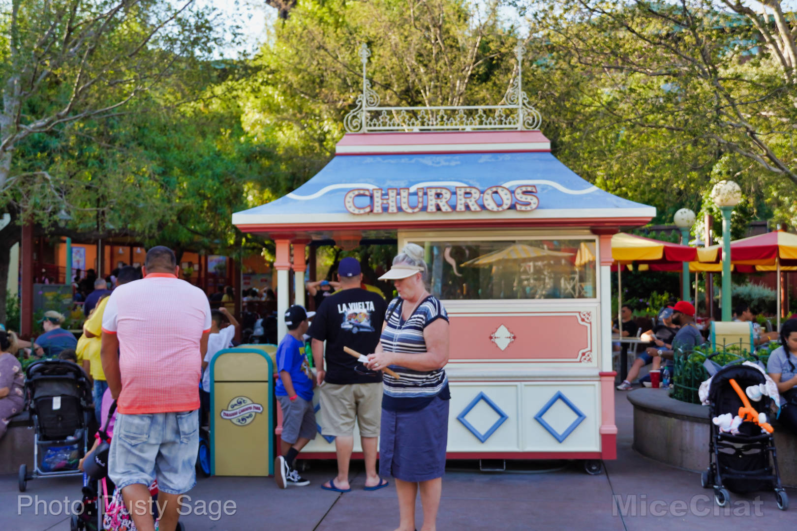 , Mise à jour de Disneyland - Certaines choses chaudes et d'autres non