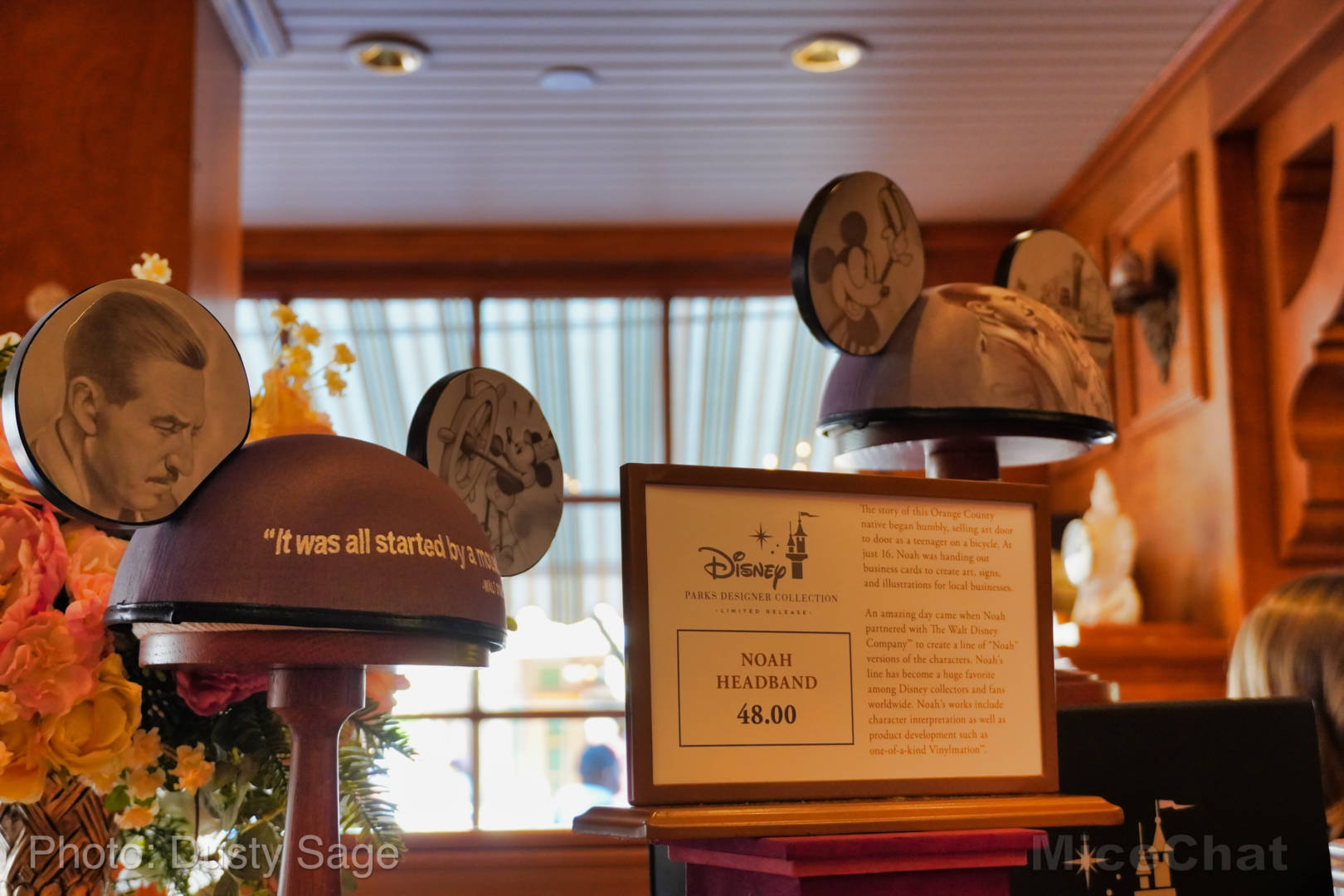 , Mise à jour de Disneyland - Certaines choses chaudes et d'autres non