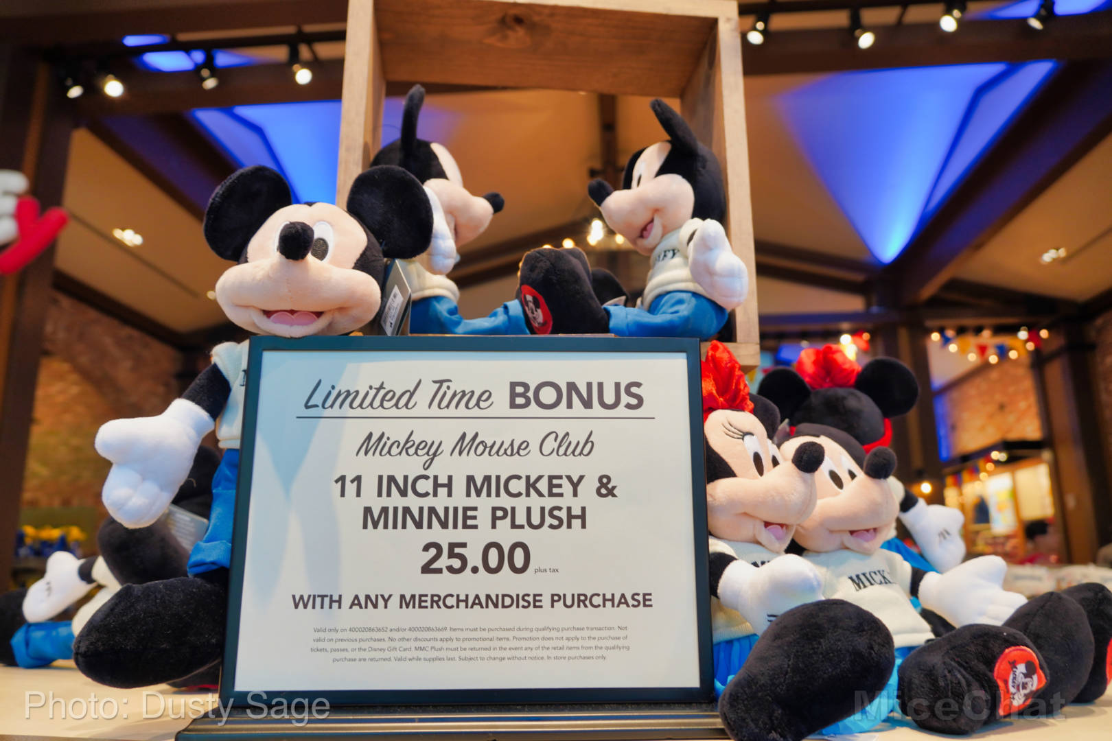 , Mise à jour de Disneyland - Certaines choses chaudes et d'autres non