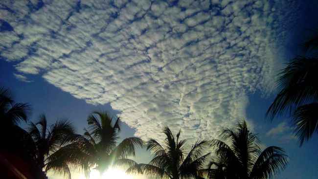 formation de nuages sous les tropiques formation de nuages tropicaux