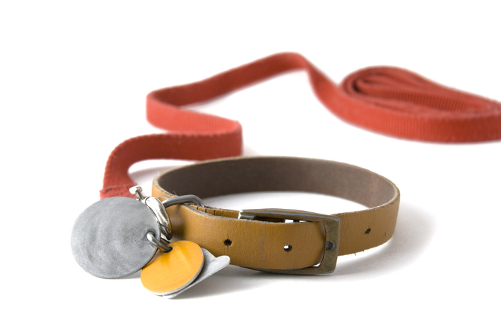 Collier de chien avec laisse rouge