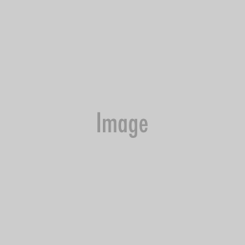 trottoir-chiens-animaux-heat.jpg