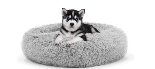 Amazon donut lit pour chien sommeil sain 