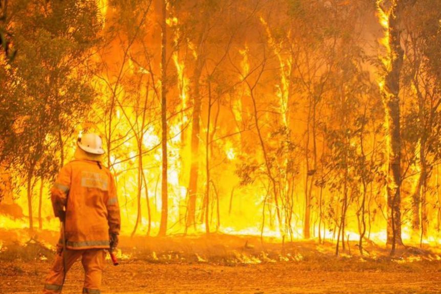 Un pompier rural se tient devant un feu de brousse qui fait rage à Deepwater.