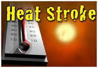 sain-image-coup de chaleur "width =" 200 "height =" 140 "srcset =" https://healthylivingafter60.com/wp-content/uploads/2016/07/healthy-image-heat-stroke.jpeg 200w, https://healthylivingafter60.com/wp-content/uploads/2016/07/healthy-image-heat-stroke-150x105.jpeg 150w "tailles =" (largeur max: 200px) 100vw, 200px "/></li>
<li style=