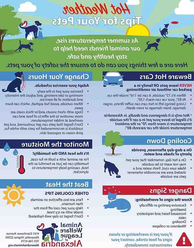 Comment refroidir son corps quand il fait chaud ?
