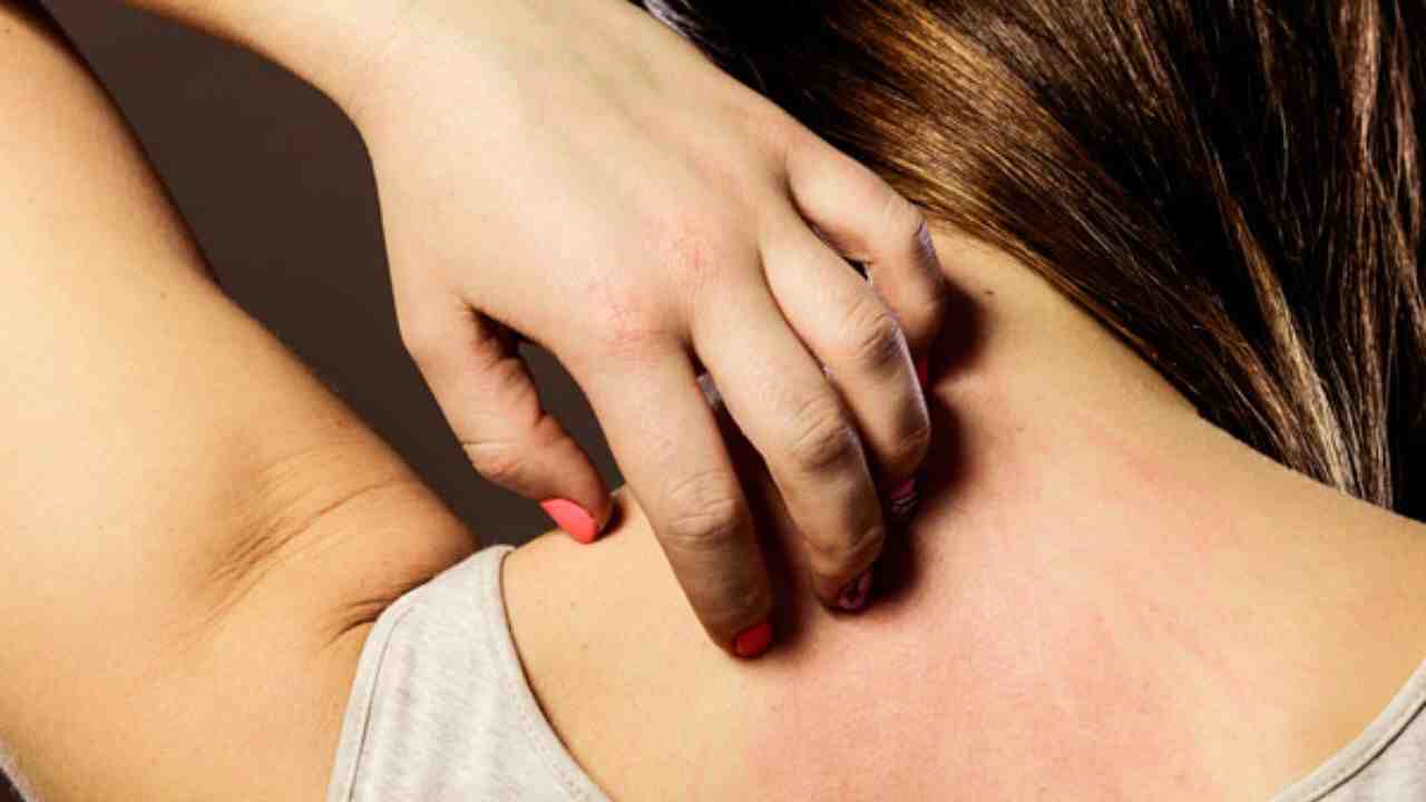 Quelle est la température d'une chambre froide ?