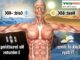Quelle température maximum pour le corps humain ?